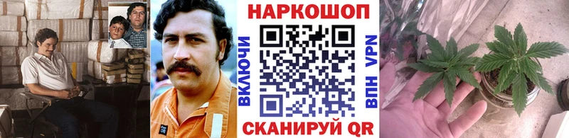 Наркошоп Сафоново Альфа ПВП Канабис МЕФ ГАШ