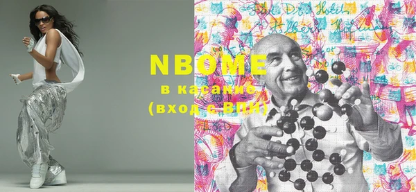 стаф Осинники