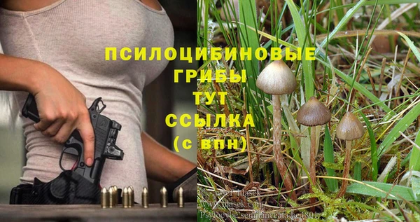 mix Алексин