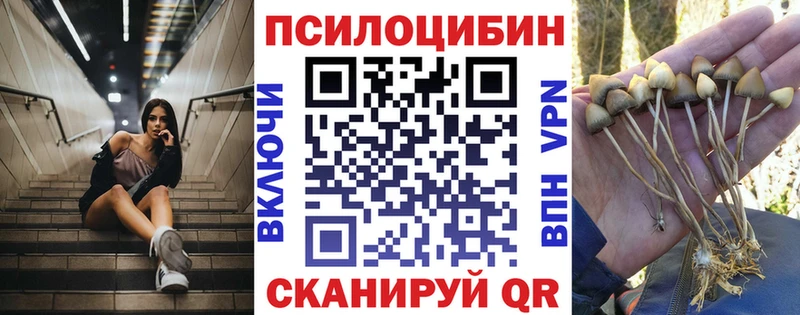 Галлюциногенные грибы Psilocybe  Сафоново 